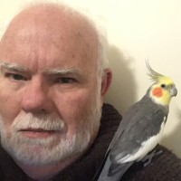 Peter Edman