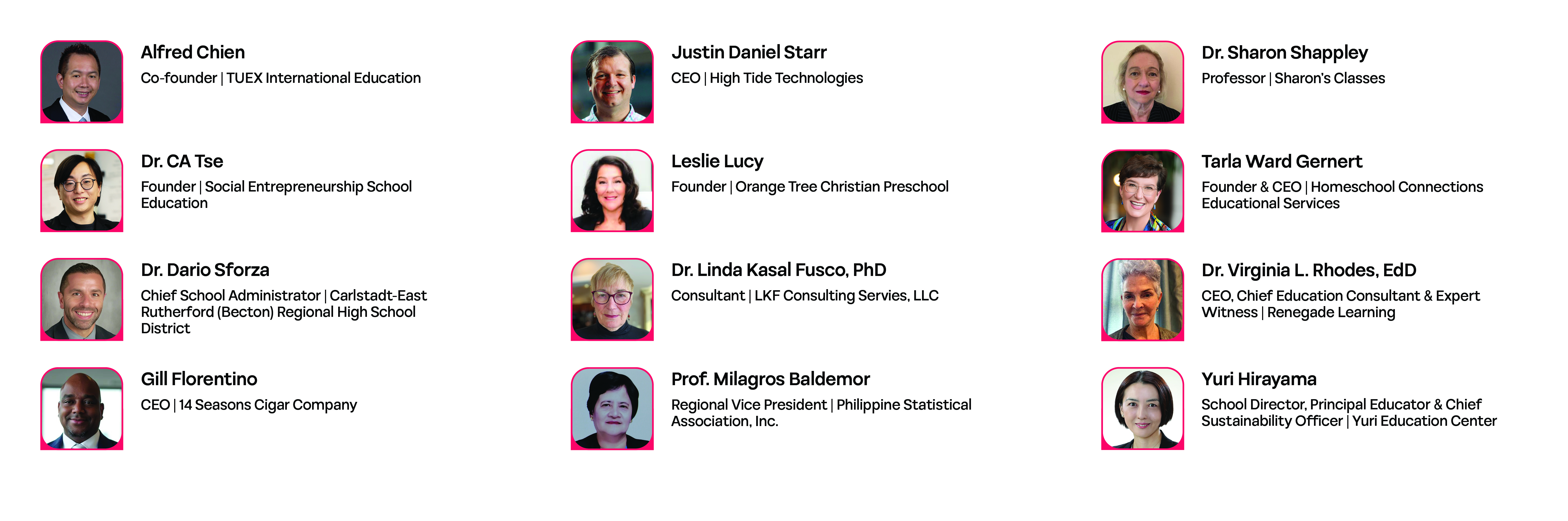 Website Visionaries Awardees